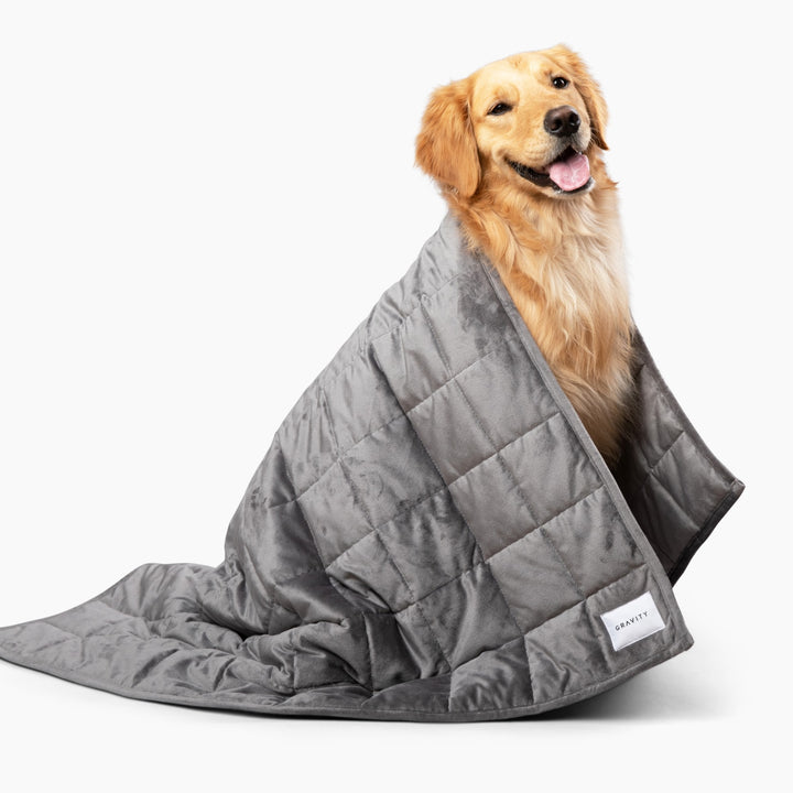 Weighted Blankets for Dogs and Cats Provides Deep Pressure Therapy - Mosaic  Weighted Blankets