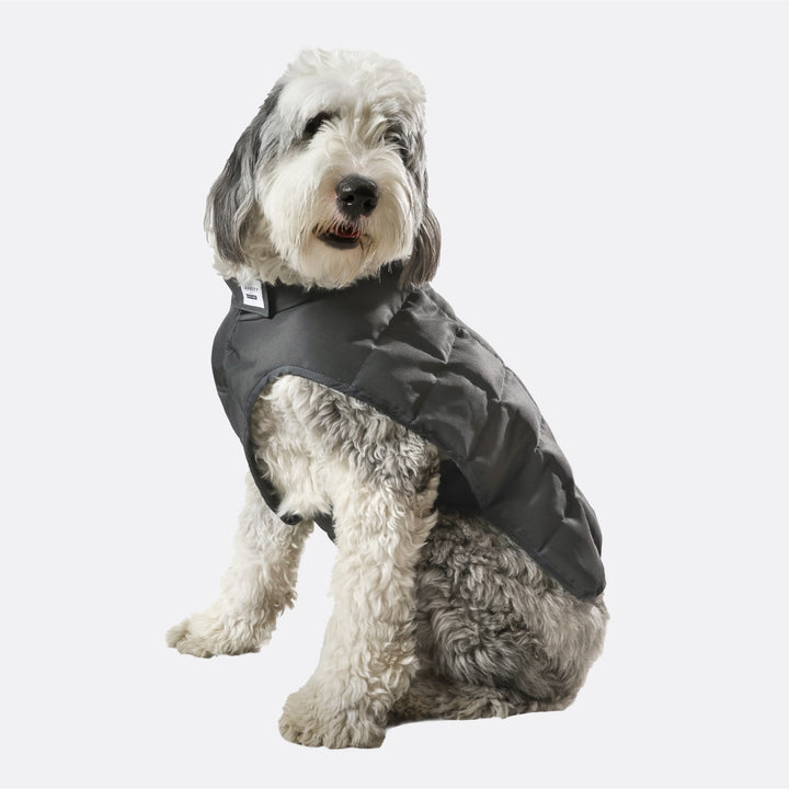 Gravity Blankets x Bestie Hugs Original Weighted Dog Vest in Grey Size XL