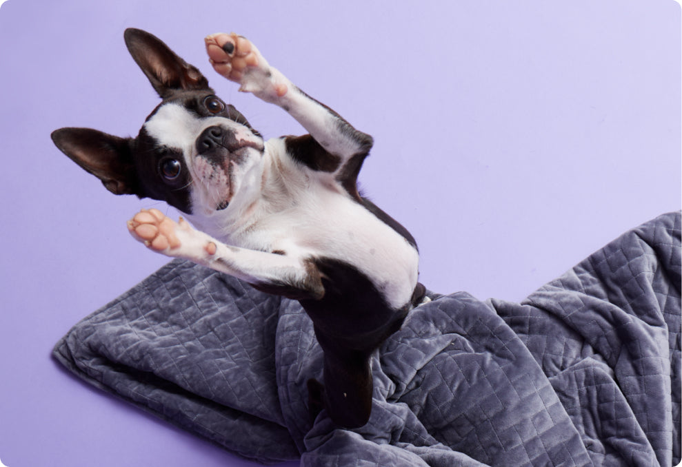 What grounded sleep may support.