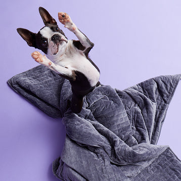 What grounded sleep may support.