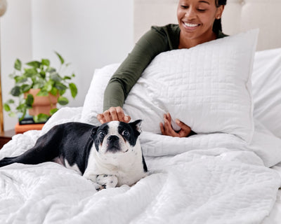 Smiling woman who's holding a pillow sitting on a bed while petting a dog that's lying on a white blanket - #color_white